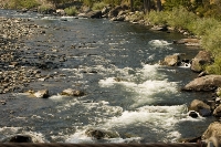 DSC_1881_Salmon River 
